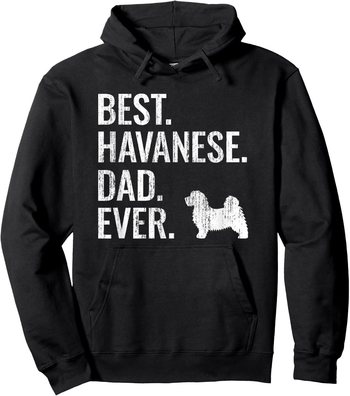 Best Havanese Dad Ever - Cool Dog Owner Gift Hoodie - Hoodie | Black