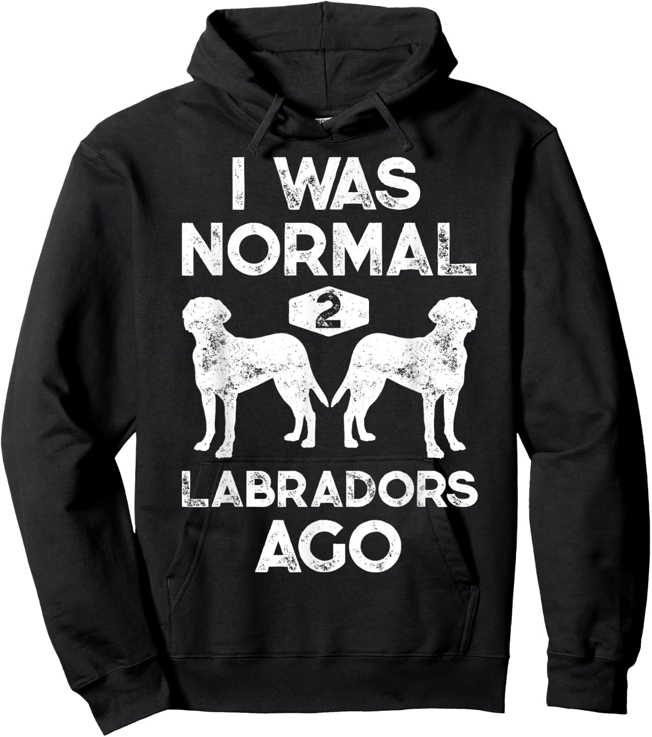I Was Normal 2 Labradors Ago Funny Dog Lover Gifts Men Women Hoodie - Hoodie | Black