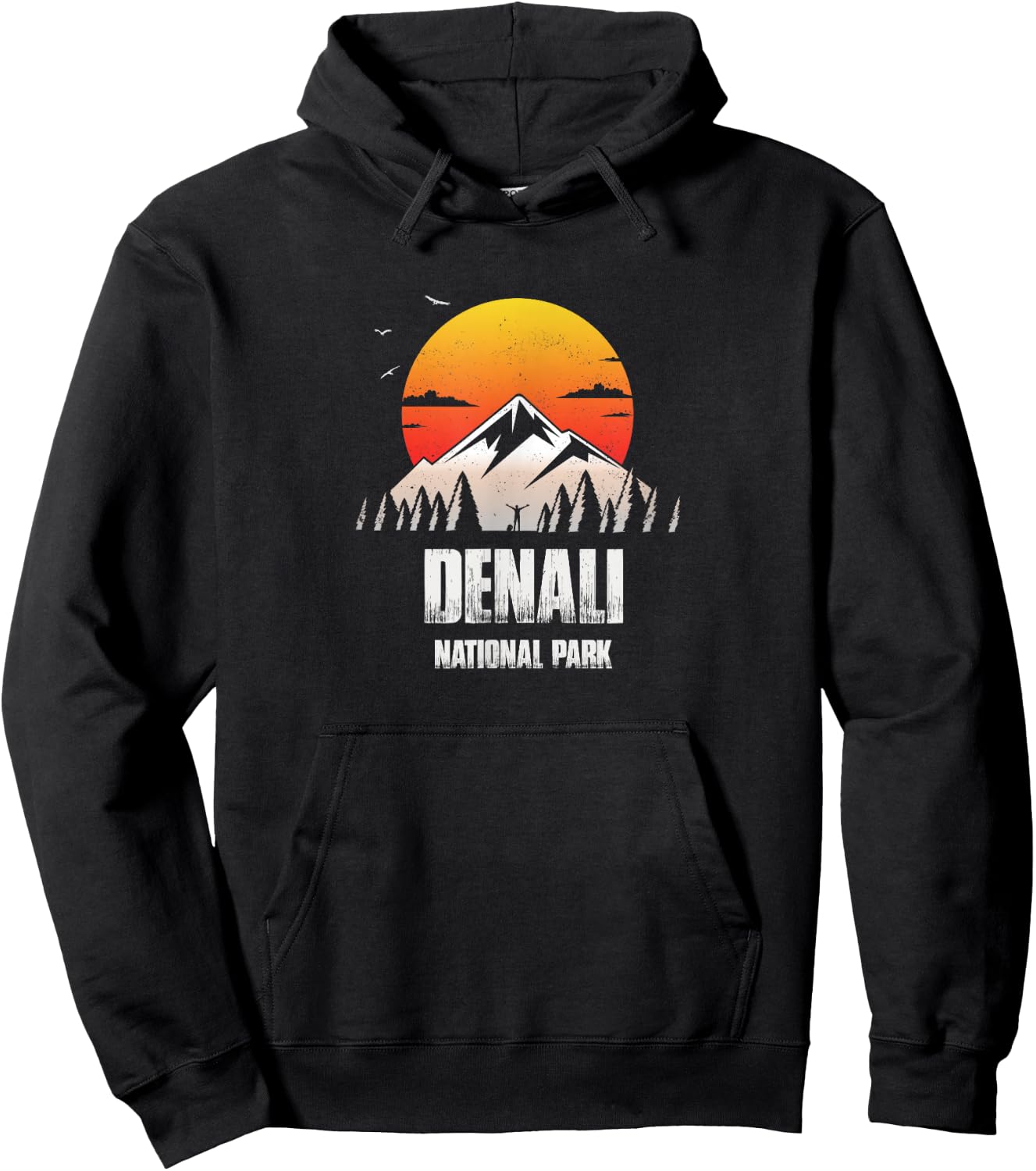 Denali Reminder - National Park Retro Souvenir Hoodie - Hoodie | Black