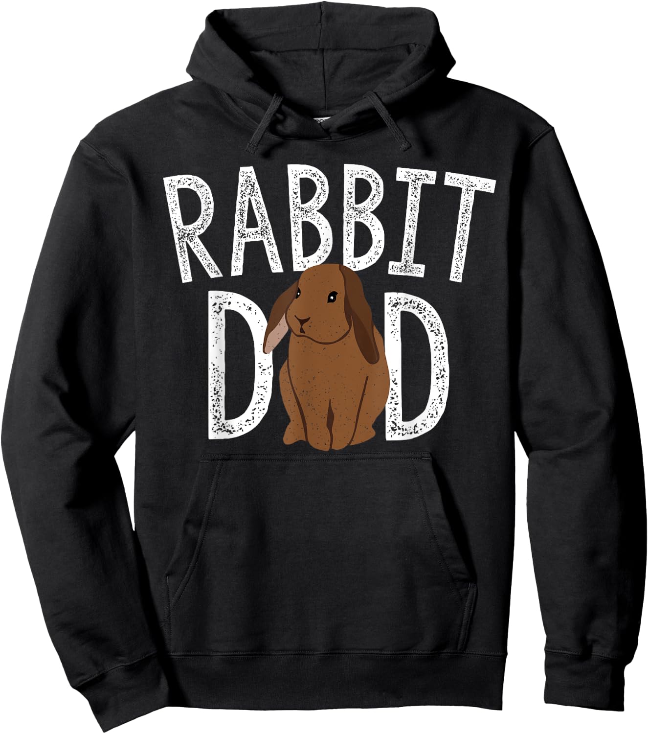 Rabbit Dad Bunny Lovers Animal Pet Owners Daddy Gift Hoodie - Hoodie | Black