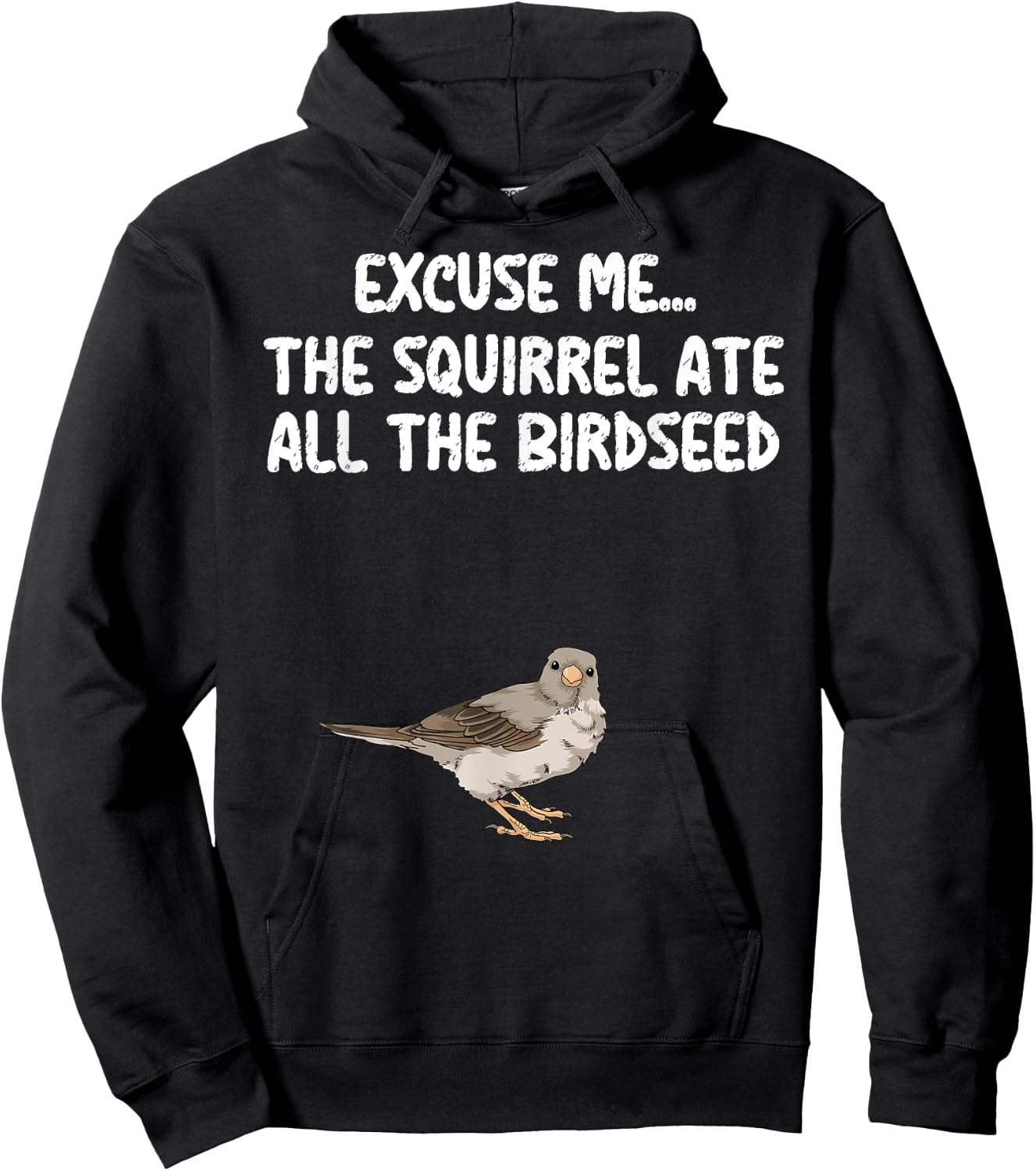 Excuse Me The Birdfeeder Is Empty Bird Watching Squirrel Hoodie - Hoodie | Black