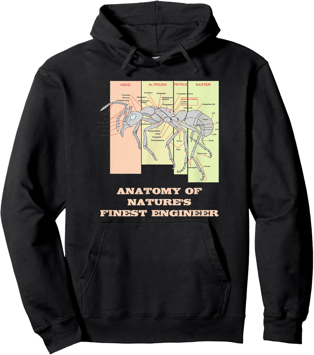 Anatomy Of Nature's Finest Engineer Worker Ant Anatomy Hoodie - Hoodie | Black