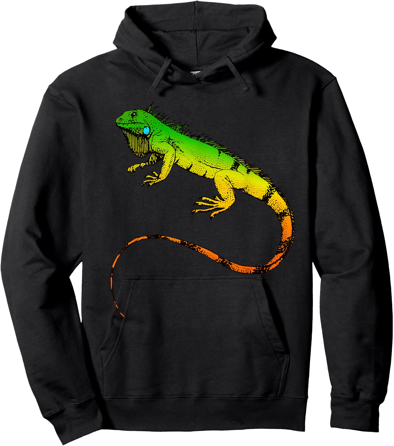Iguana Lizard Beautiful Iguana Shirt Hoodie - Hoodie | Black