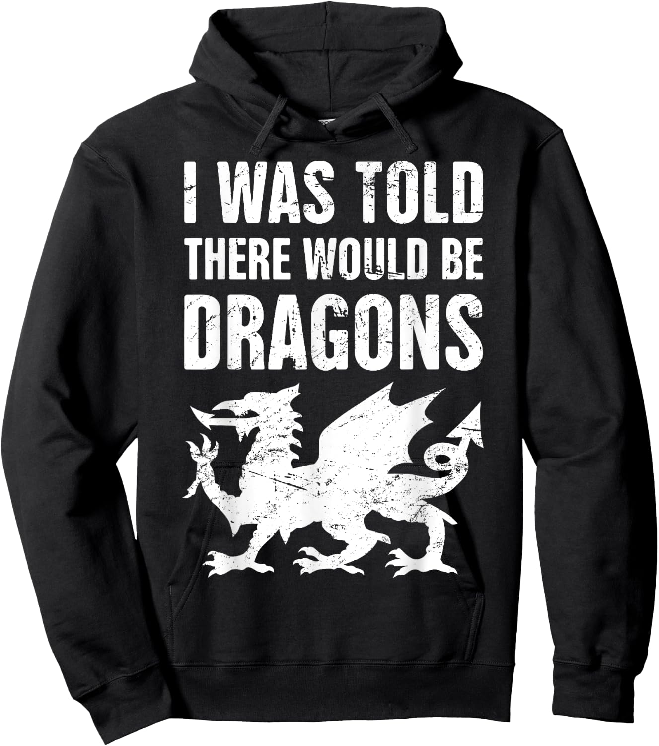 I was Told There Would Be Dragons Renaissance Fair Hoodie - Hoodie | Black