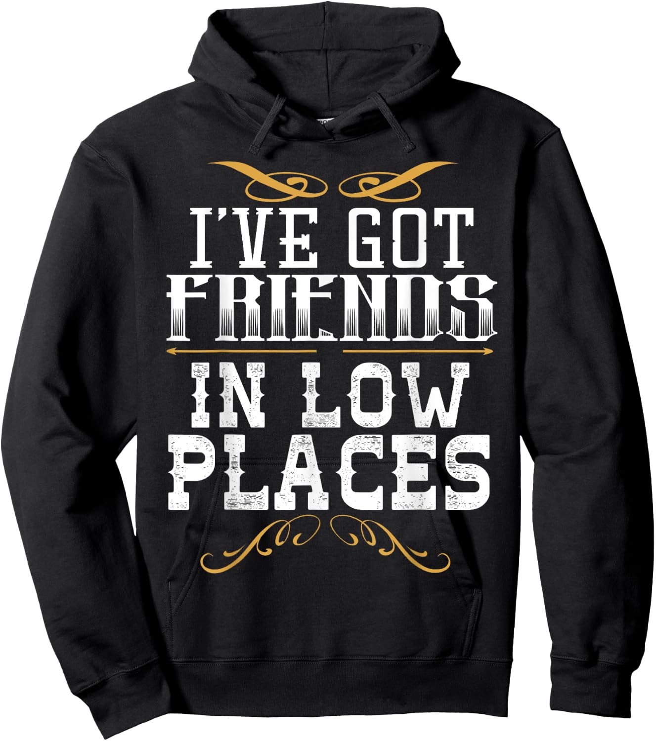 I've Got Friends In Low Places Redneck Country Hoodie - Hoodie | Black