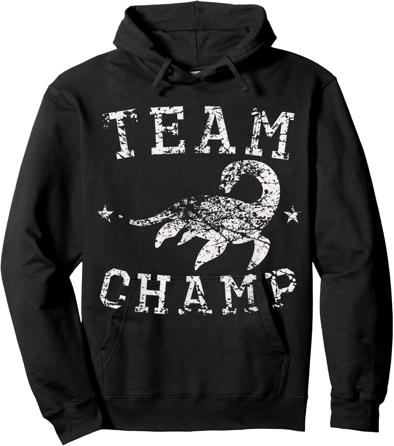 Vintage Team Champ Lake Champlain Monster Distressed Hoodie - Hoodie | Black