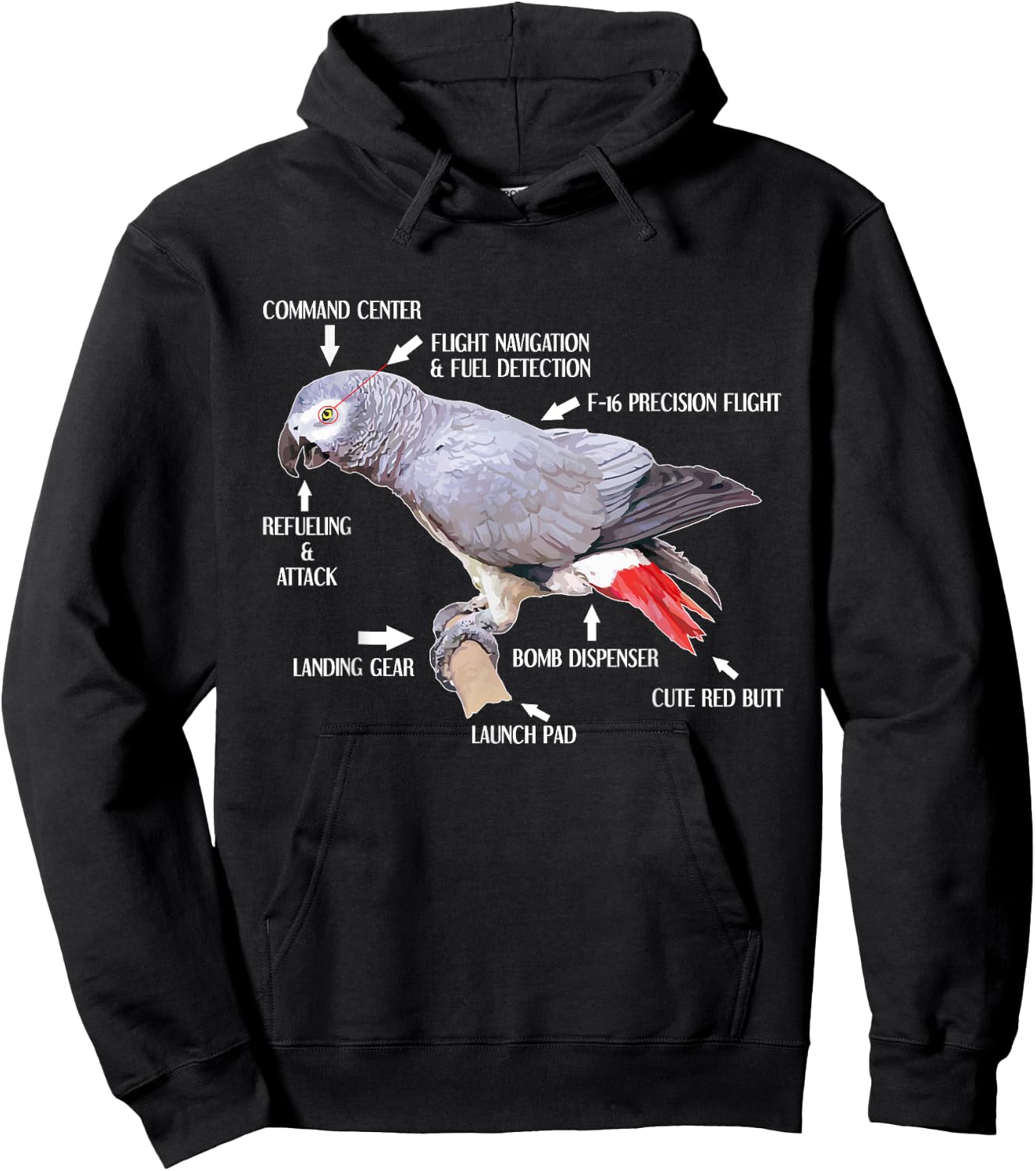 Anatomy Of An African Grey Parrot Funny Bird Gift Hoodie - Hoodie | Black