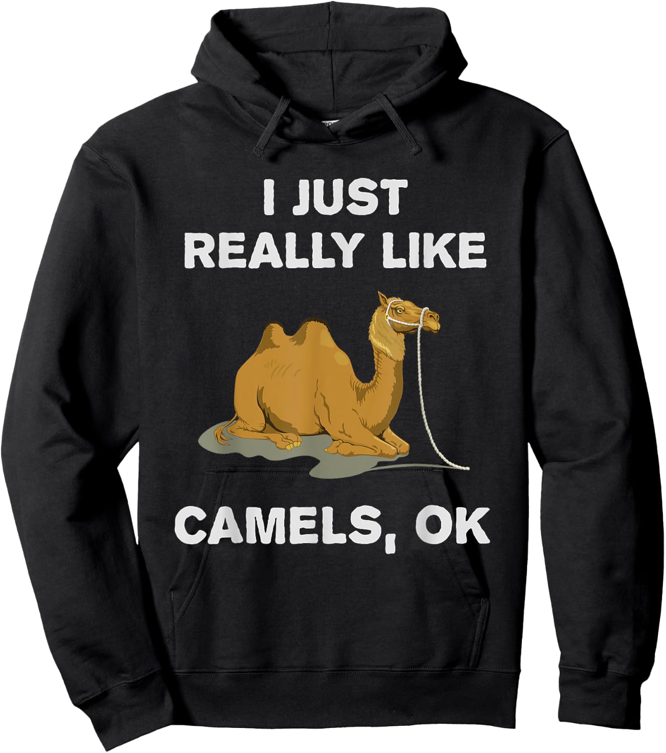 I Just Really Like Camels OK? Humour Funny Camel Hoodie - Hoodie | Black