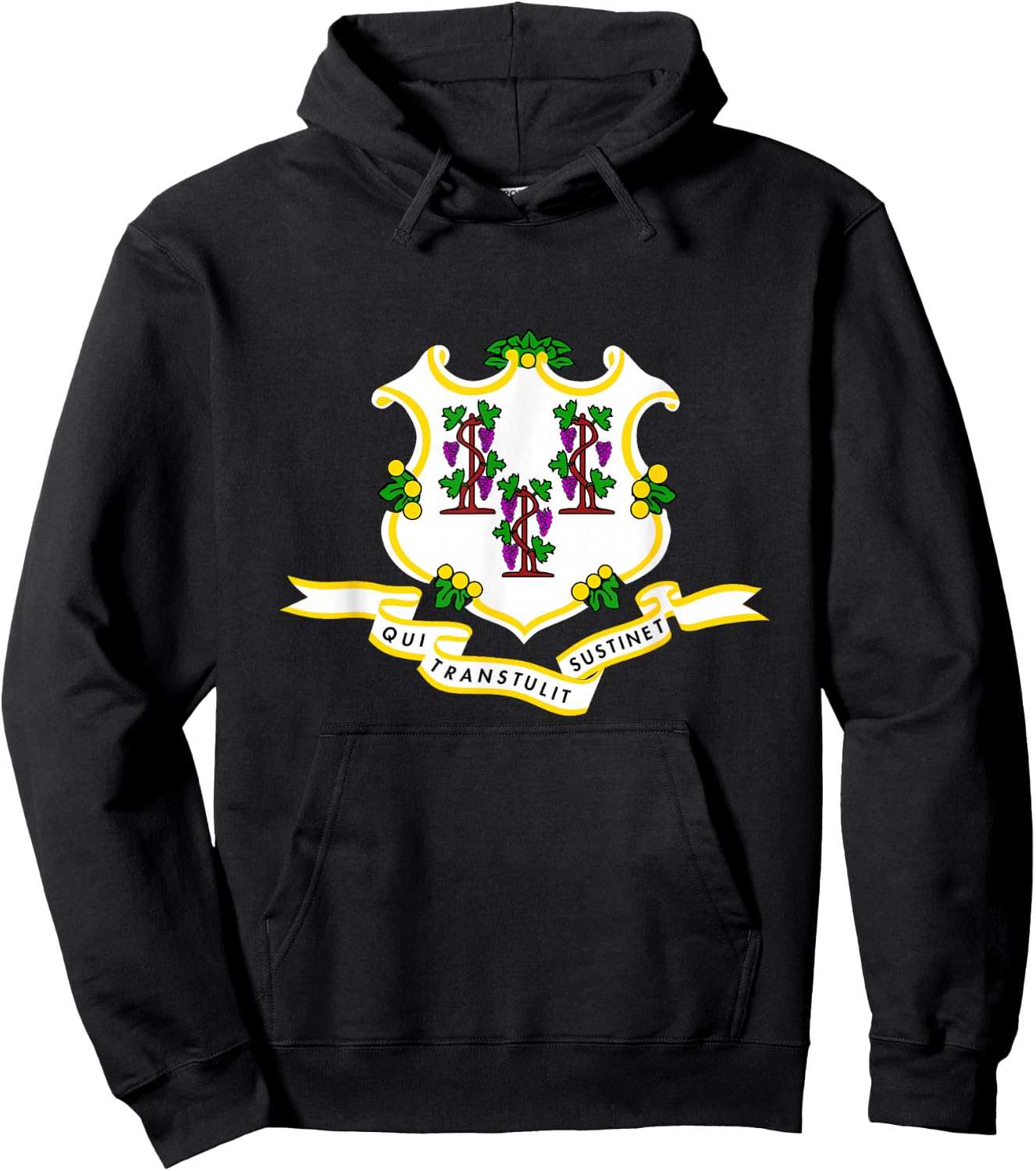 Connecticut State Flag Hoodie - Hoodie | Black