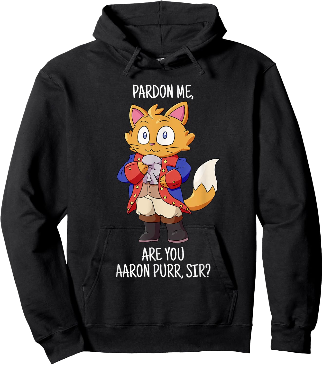 Pardon Me Are You Aaron Purr Sir Hamilton Cat Hoodie - Hoodie | Black