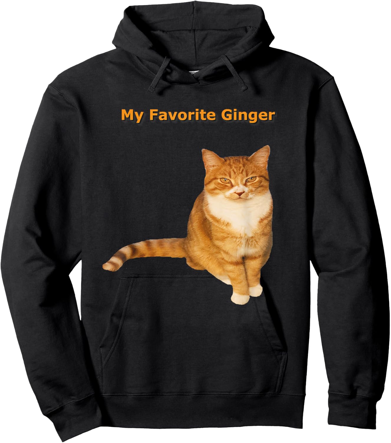 My Favorite Ginger Orange Tabby Kitty Cat Women Girls Kids Hoodie - Hoodie | Black