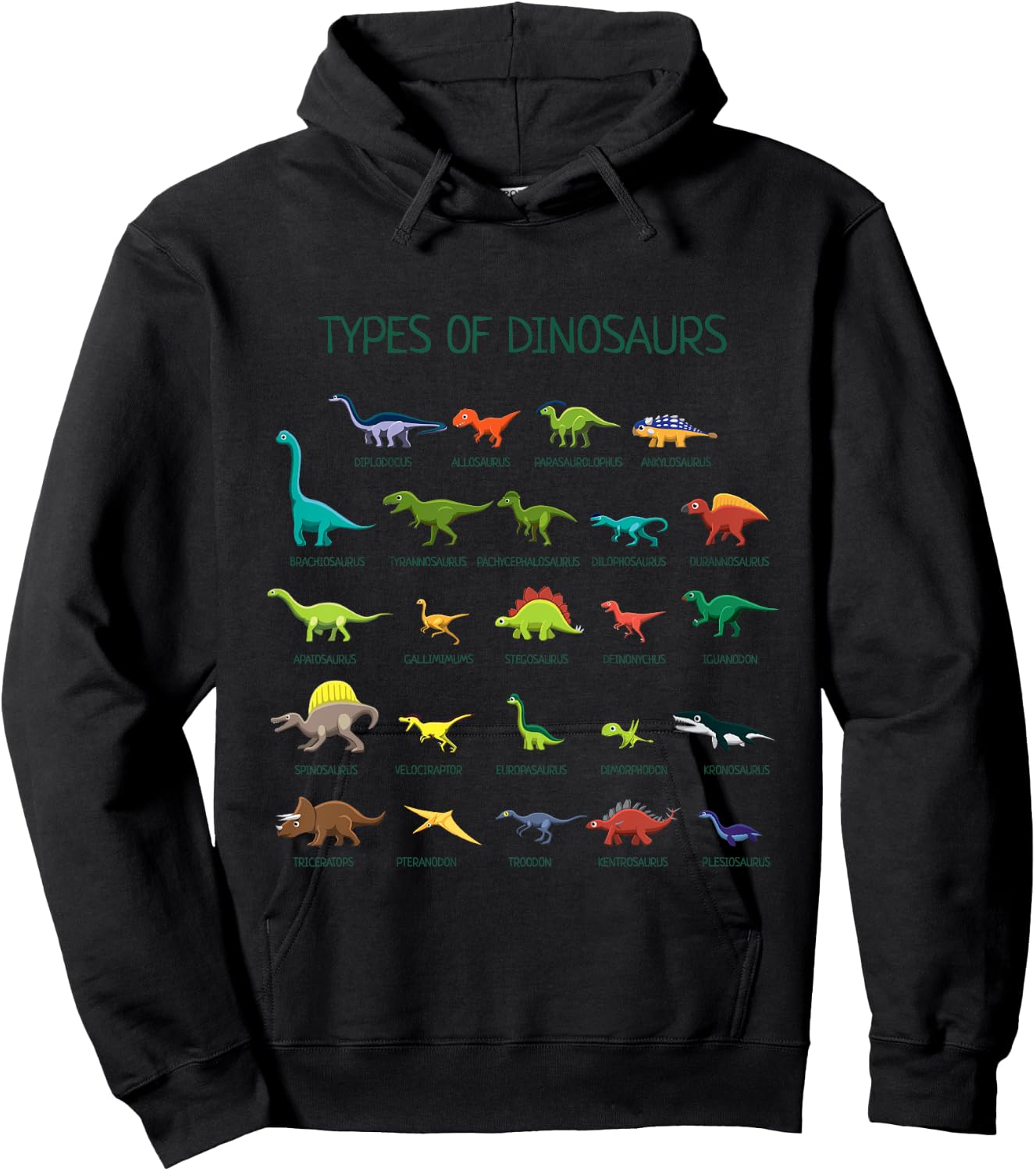 Types of Dinosaurs Dino Identification Hoodie - Hoodie | Black