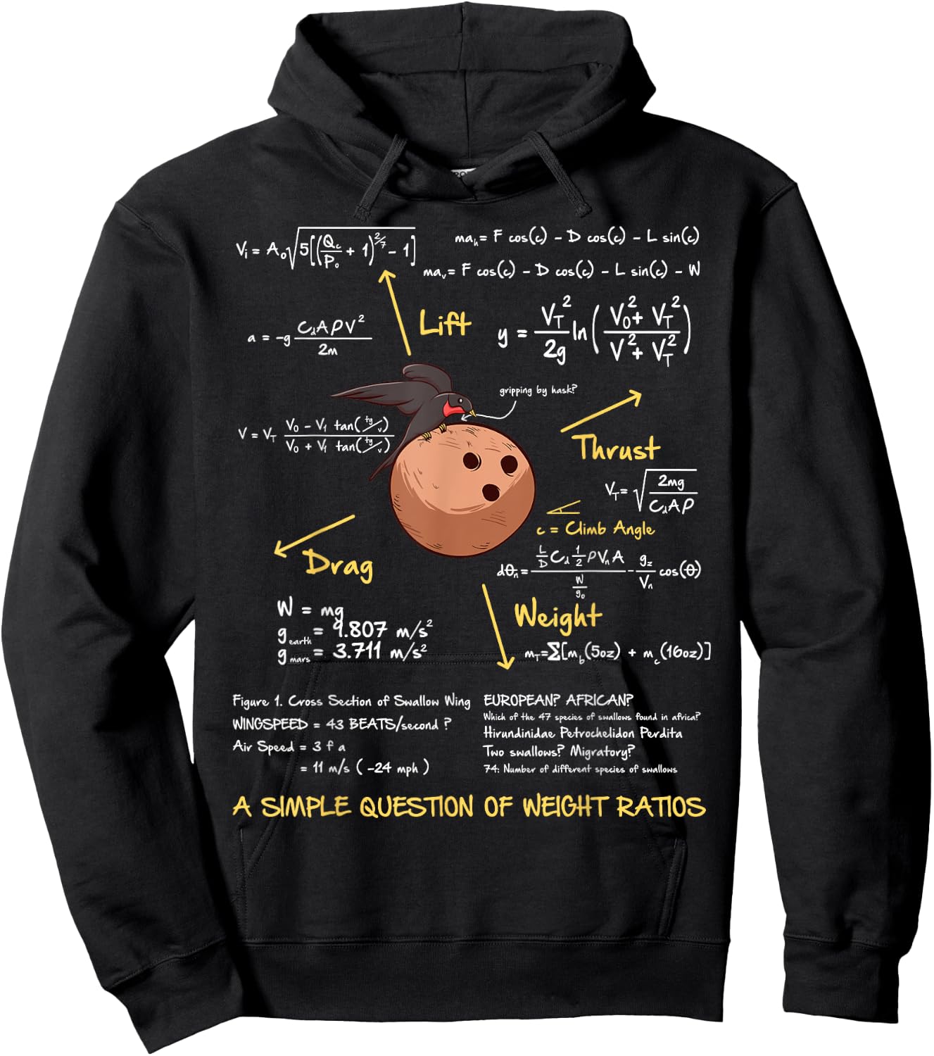 Simple Question of Weight Ratio Funny Math Teacher Geek Hoodie - Hoodie | Black