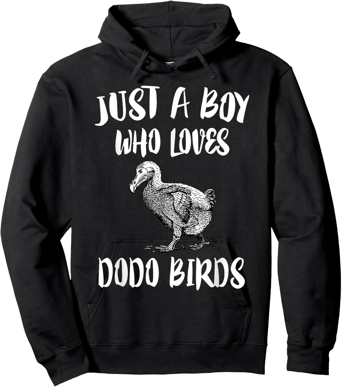 Just A Boy Who Loves Dodo Birds Gift Hoodie - Hoodie | Black