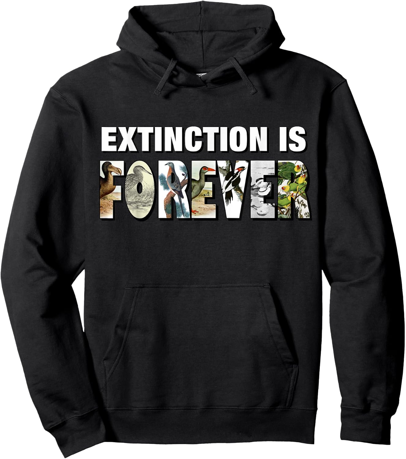 Extinction Is Forever Extinct Birds Hoodie - Hoodie | Black