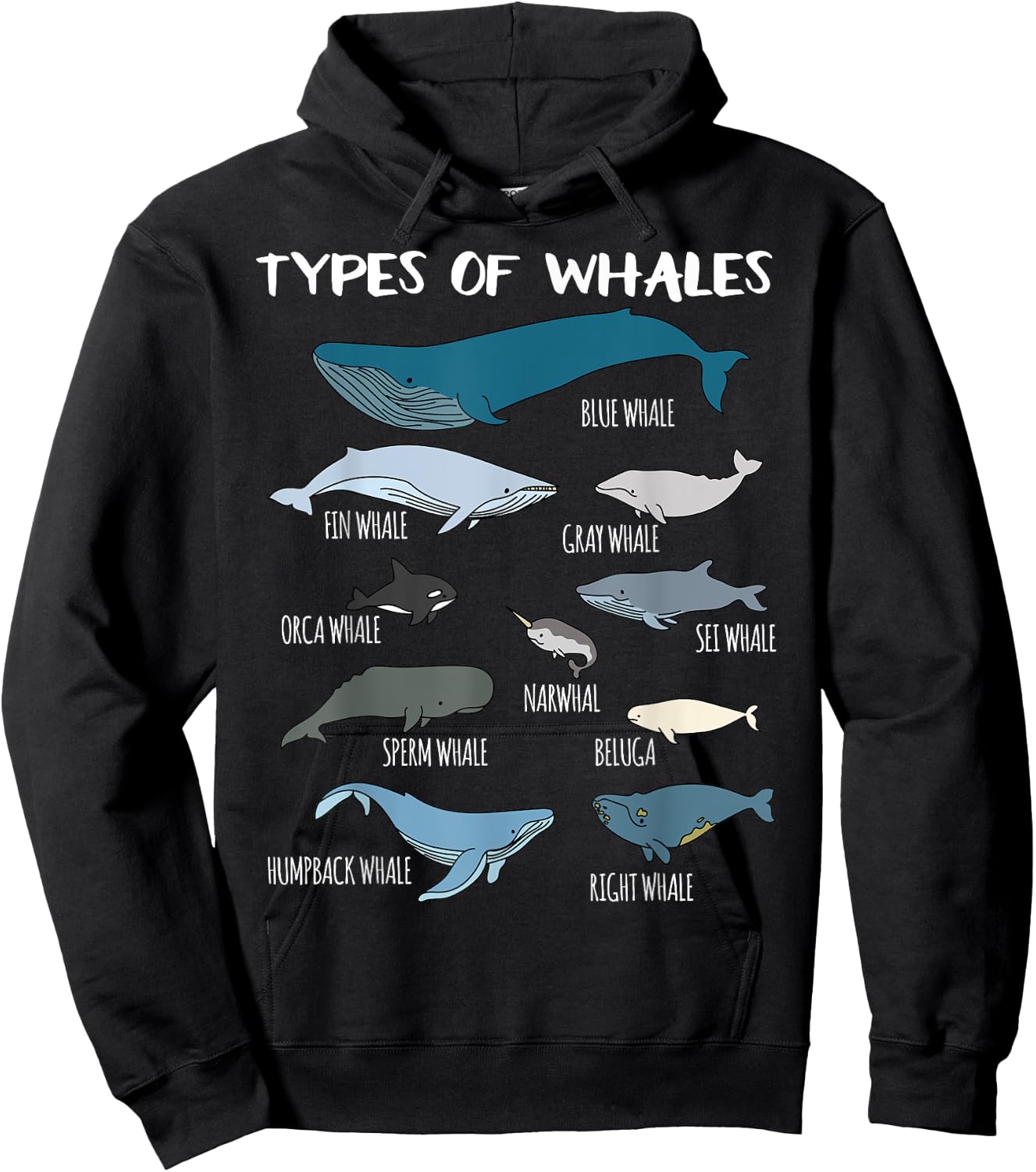 Types Of Whales Cute Ocean Mammals Guide T Shirt Hoodie - Hoodie | Black