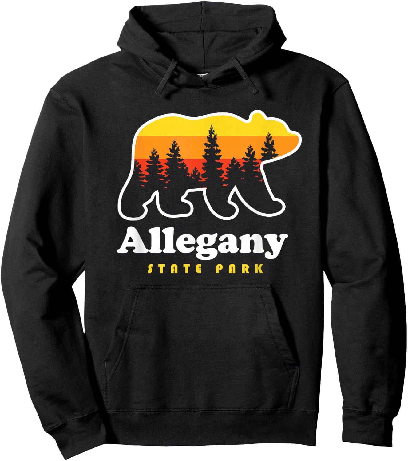 Allegany State Park New York Salamanca NY Hoodie - Hoodie | Black
