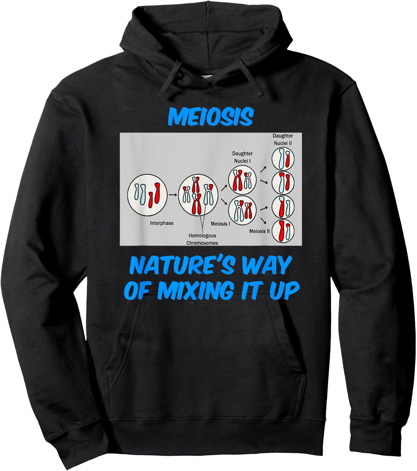 Meiosis Nature's Way Of Mixing It Up Cell Biology Humor Hoodie - Hoodie | Black