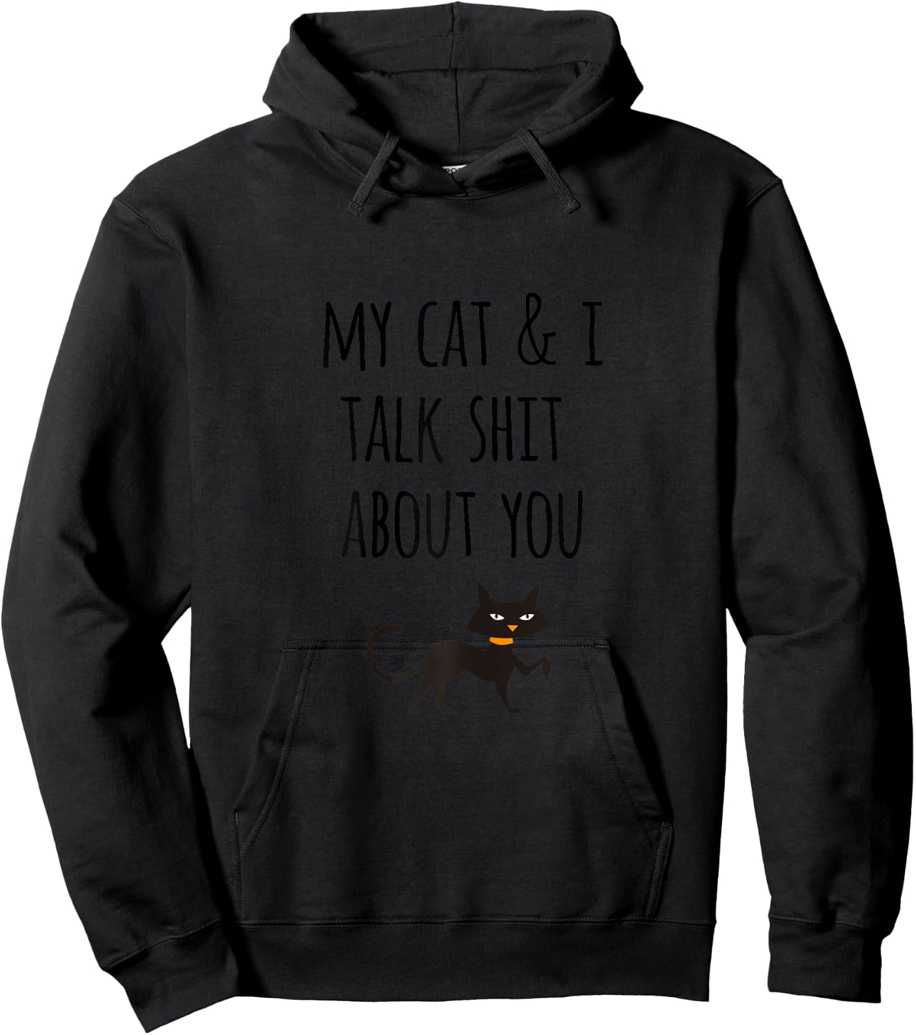 Funny Cat Lovers Gift My Cat and I Talk Shit About You Hoodie - Hoodie | Black