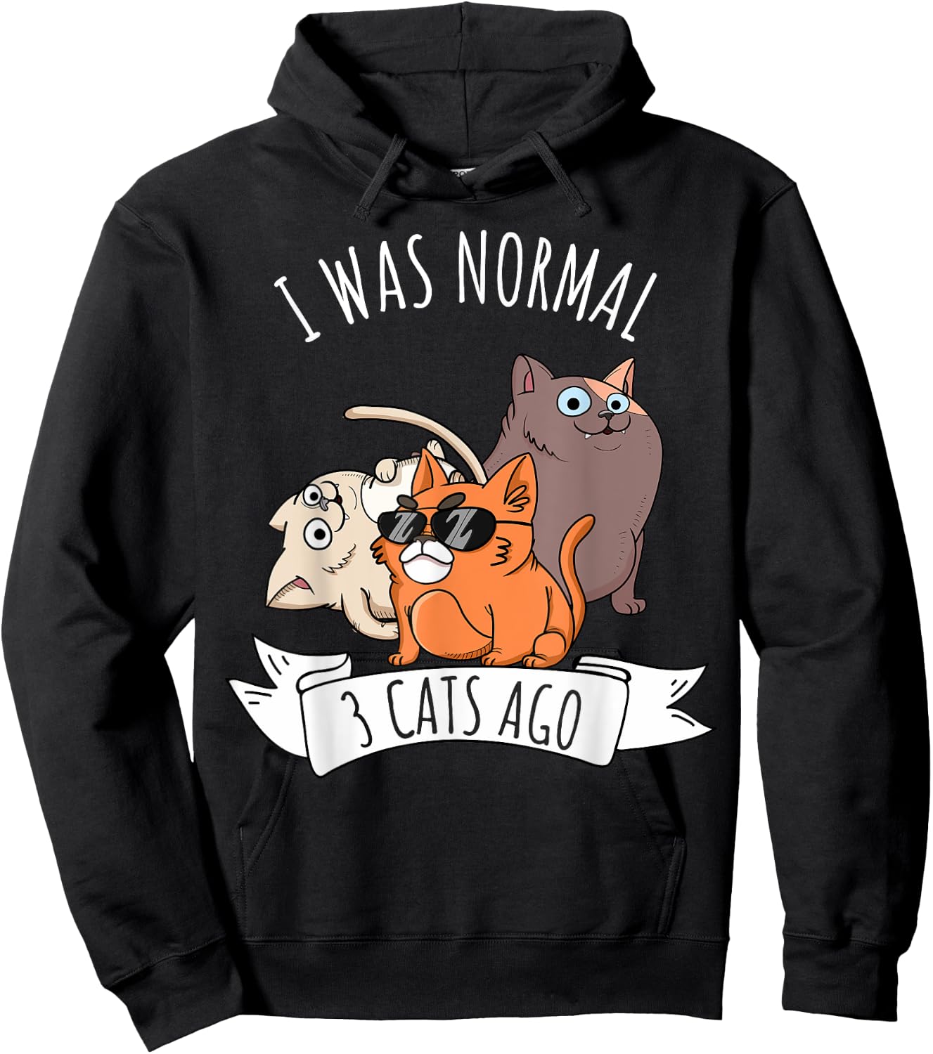 I Was Normal 3 Cats Ago Cat Mom Dad Crazy Cat Lady Hoodie - Hoodie | Black