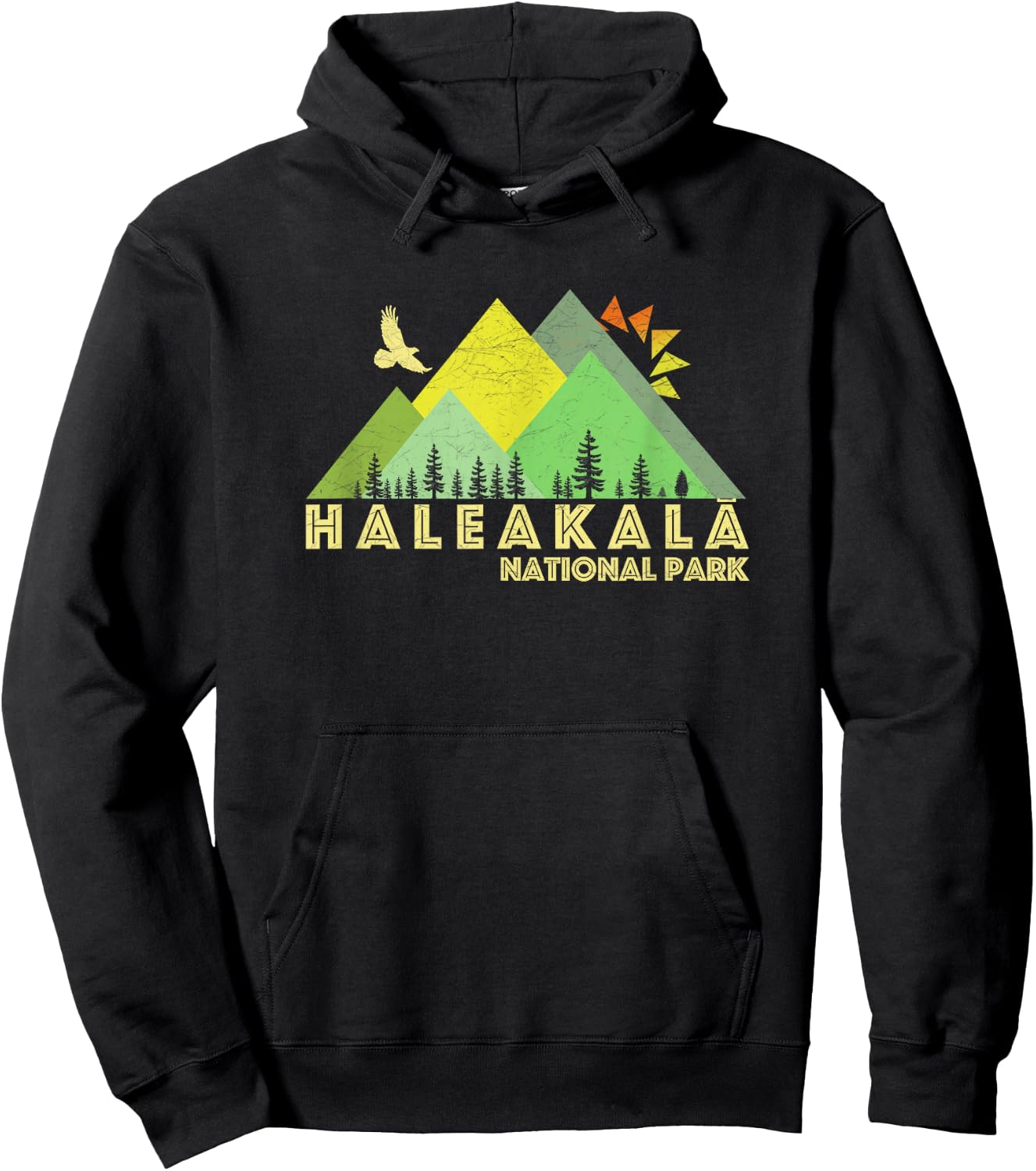 Retro Vintage Haleakala National Park Hoodie - Hoodie | Black