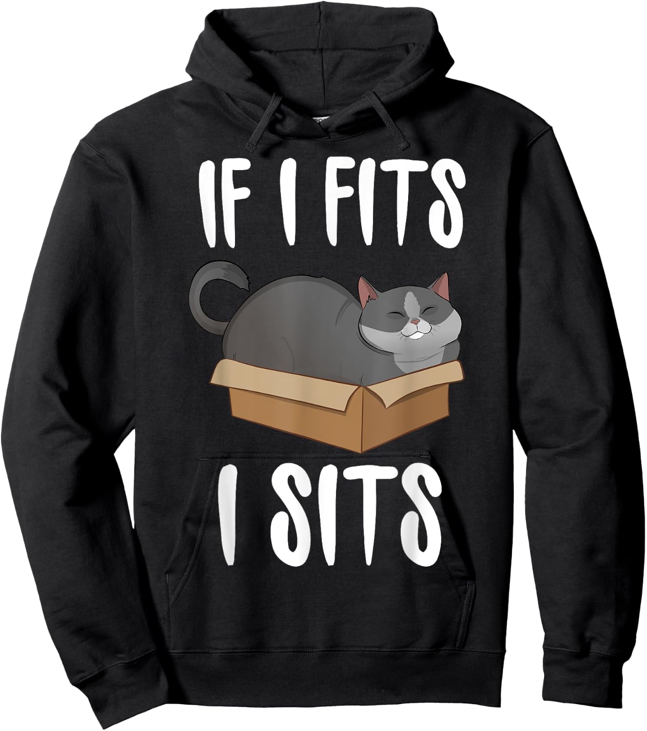 If I Fits I Sits Cat Meme Shirt Funny Cat In A Box Men Women Girls Kids Hoodie - Hoodie | Black