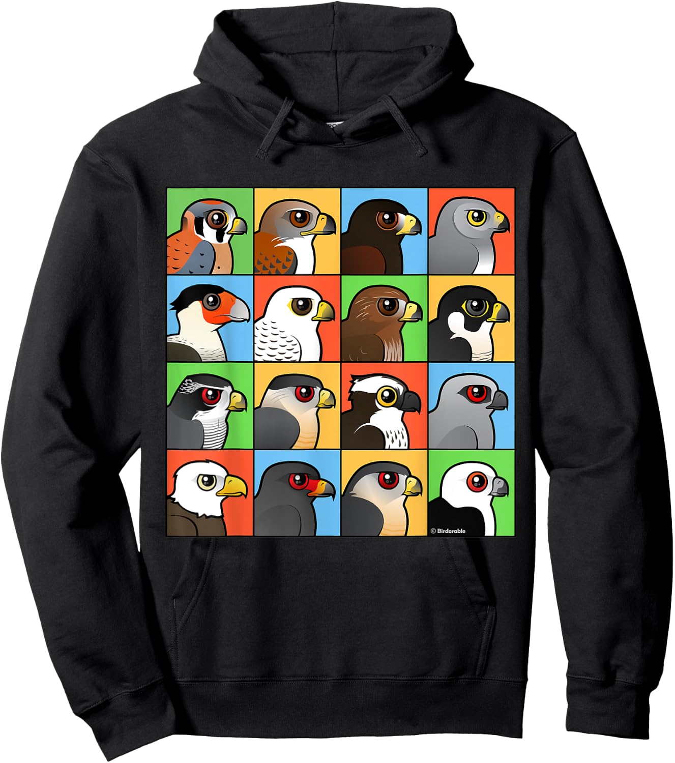 Birds of Prey with 16 Different Birdorable Raptors Hoodie - Hoodie | Black