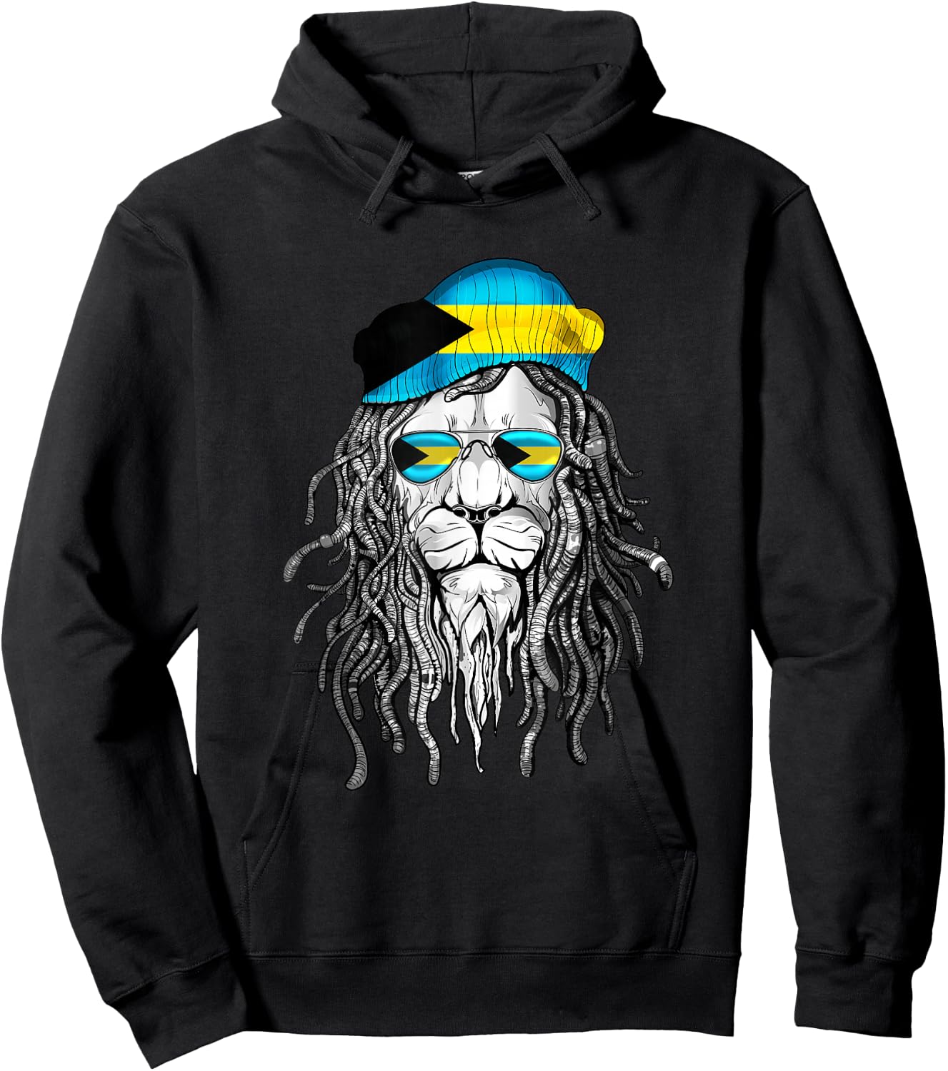 Bahamer Shirt Bahamas Bahamer Flag Lion Black Casual Modern Hoodie - Hoodie | Black