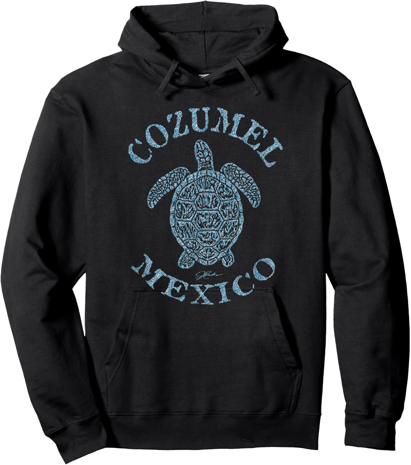 JCombs: Cozumel, Mexico Sea Turtle Hoodie - Hoodie | Black