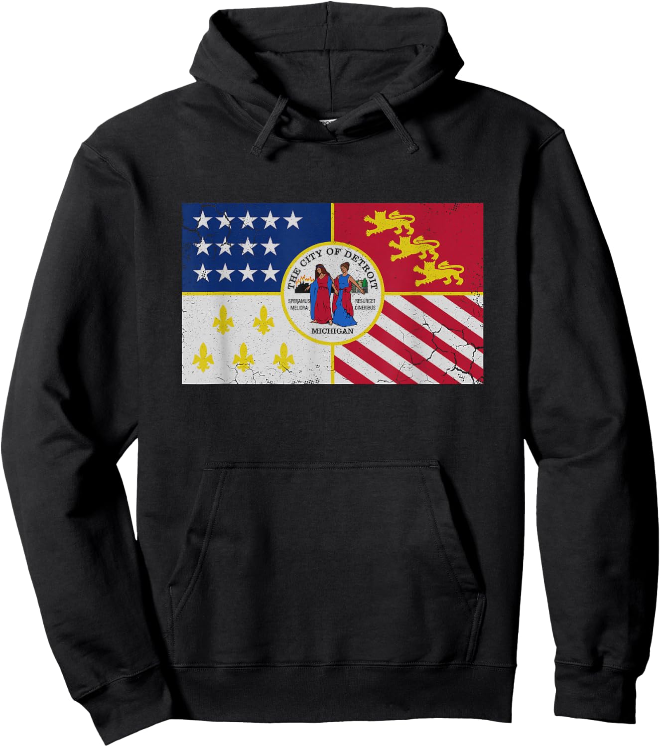 Flag of Detroit Michigan Men Women Kids Family Boys Girls Hoodie - Hoodie | Black