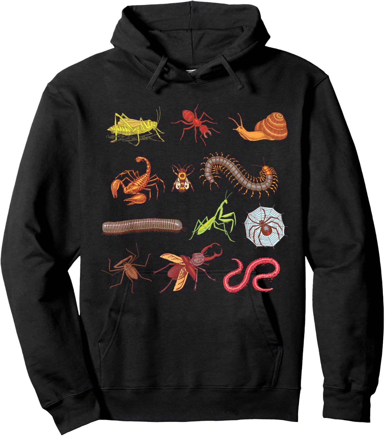 Entomologist Entomology Insects Type of Bugs Gift Hoodie - Hoodie | Black
