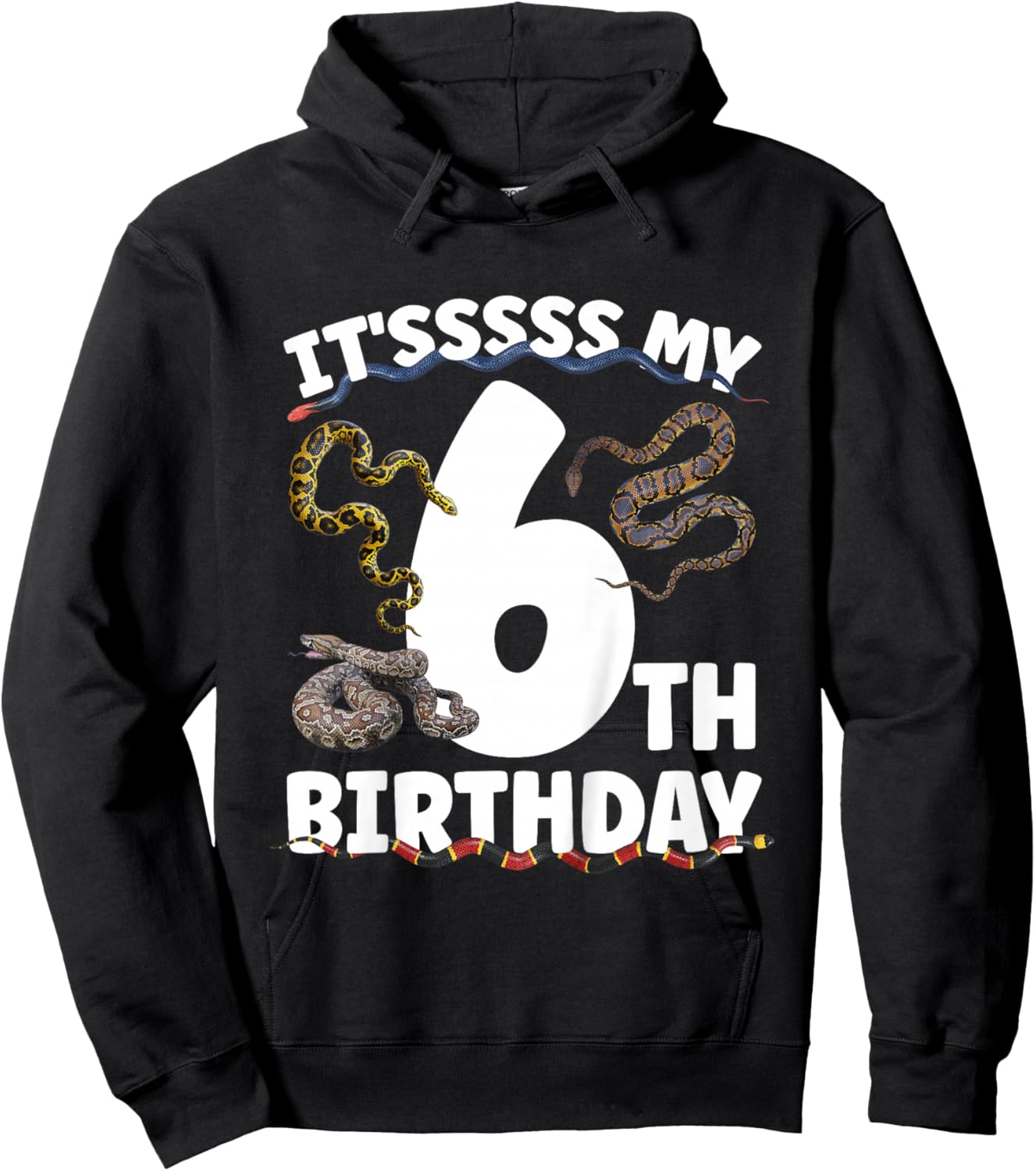 6th Snake Birthday Party 6 Year Old Snake Lover Birthday Hoodie - Hoodie | Black