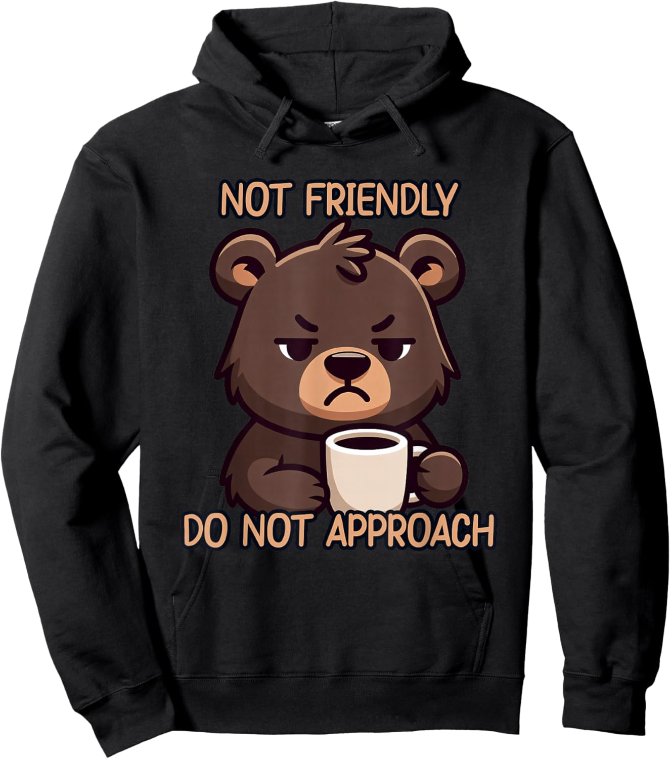 I'm Not Friendly Do Not Approach Hoodie - Hoodie | Black
