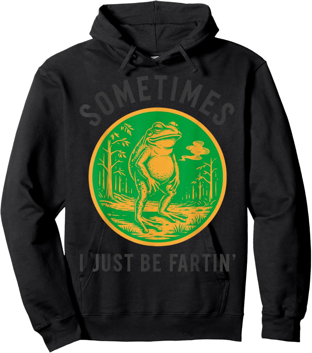 Sometimes I Just Be Fartin' Frog Funny Hoodie - Hoodie | Black