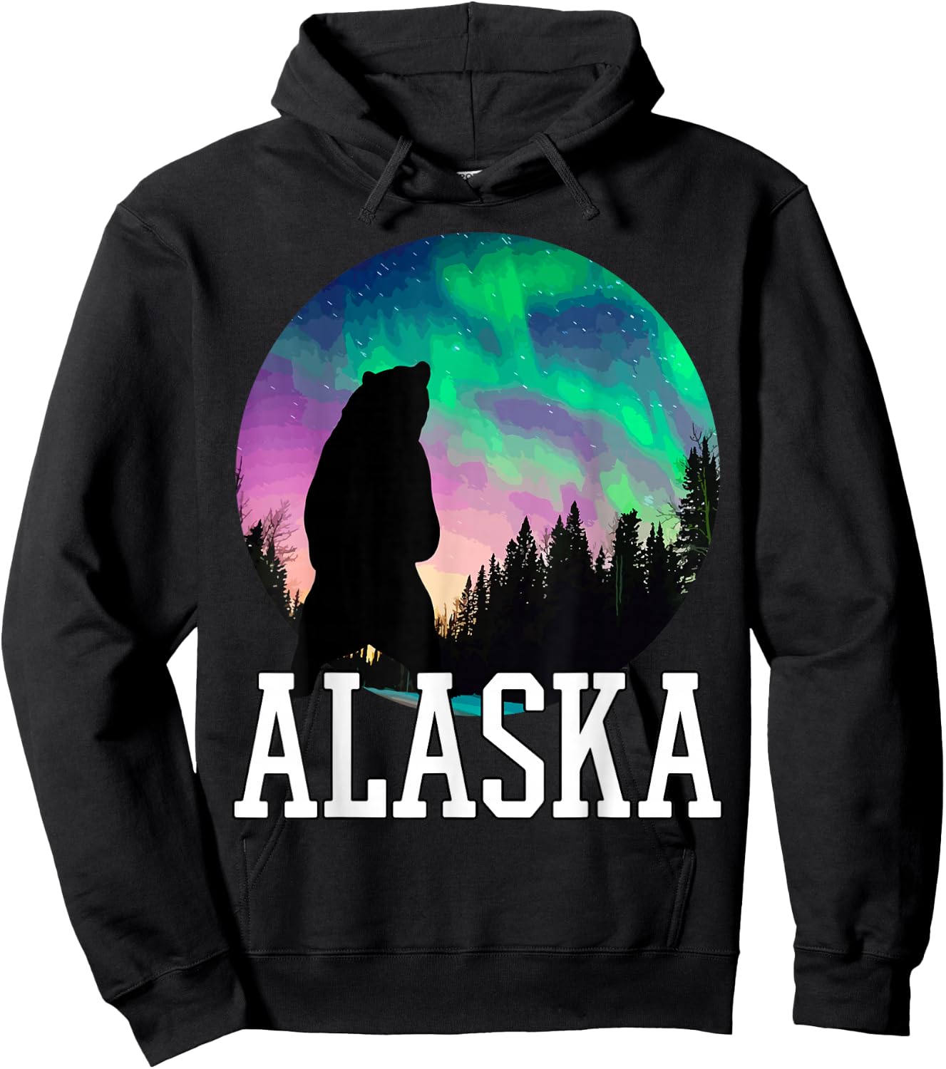 Alaska Nothern Lights Holiday View Hoodie - Hoodie | Black