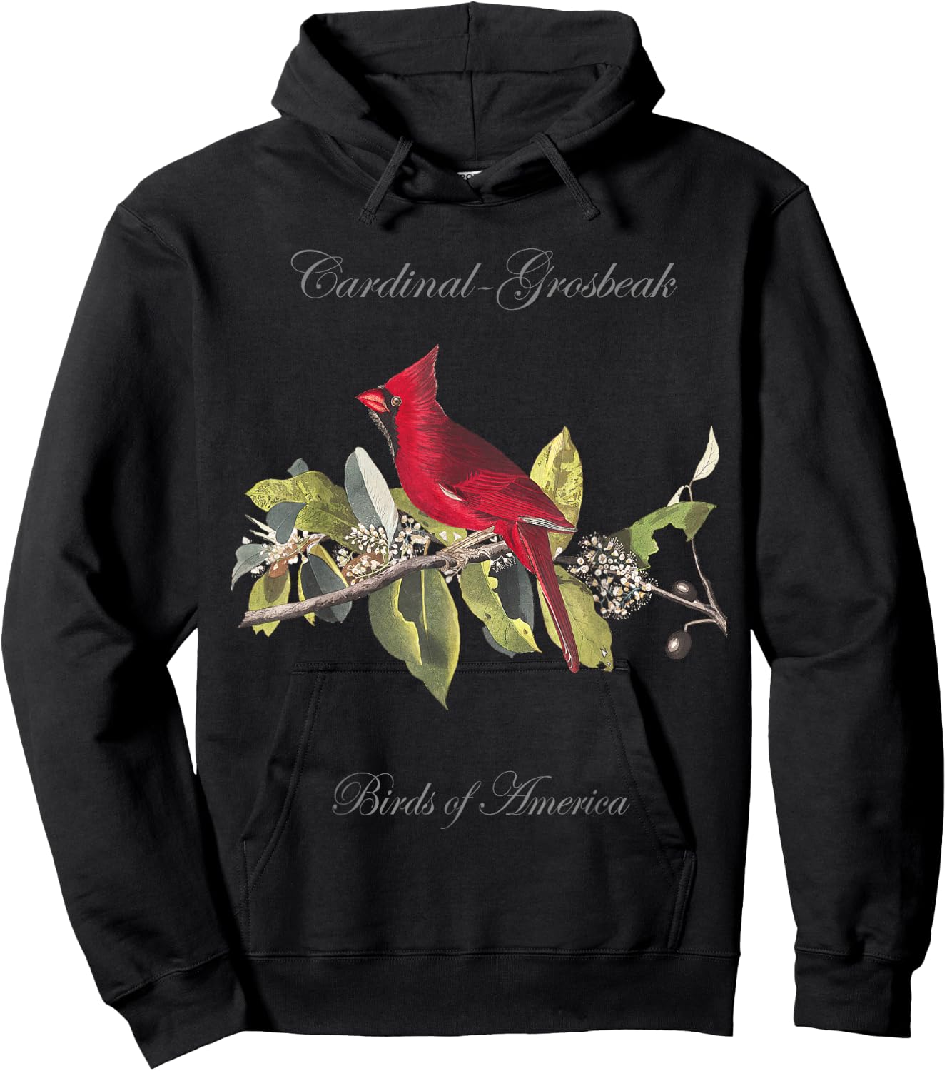 Red Cardinal - Birds of America Series Audubon Hoodie - Hoodie | Black