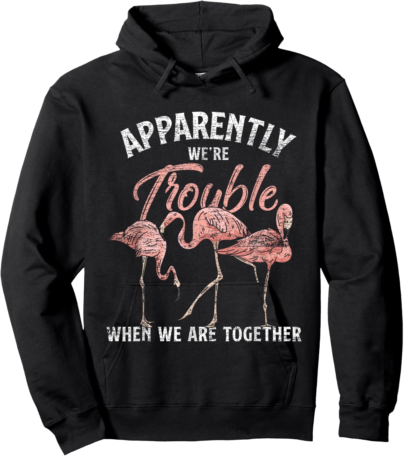 Apparently We Are Trouble When We Are Together Flamingo Hoodie - Hoodie | Black
