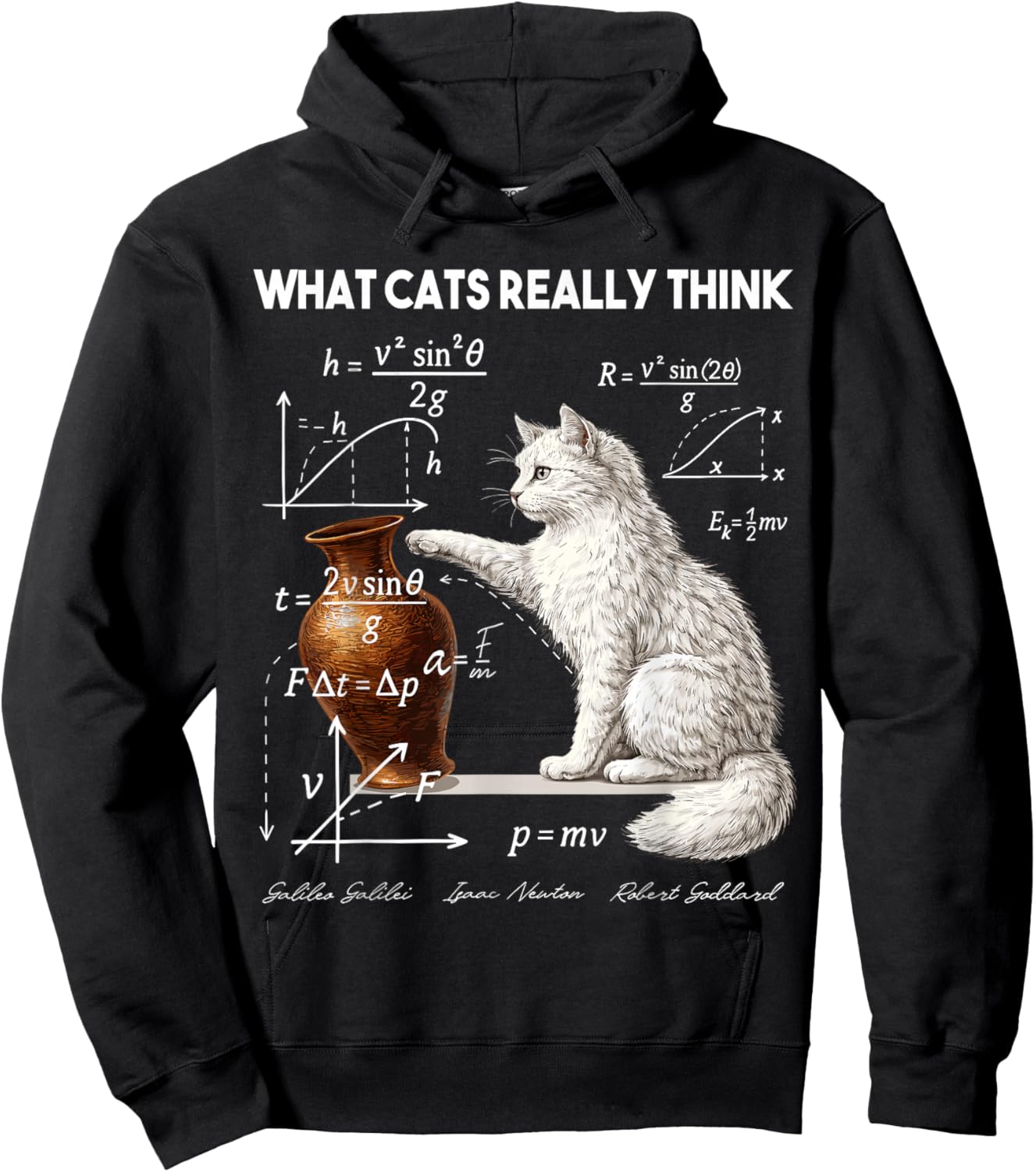 Funny Physics What Cats Really Think Math Humor Hoodie - Hoodie | Black