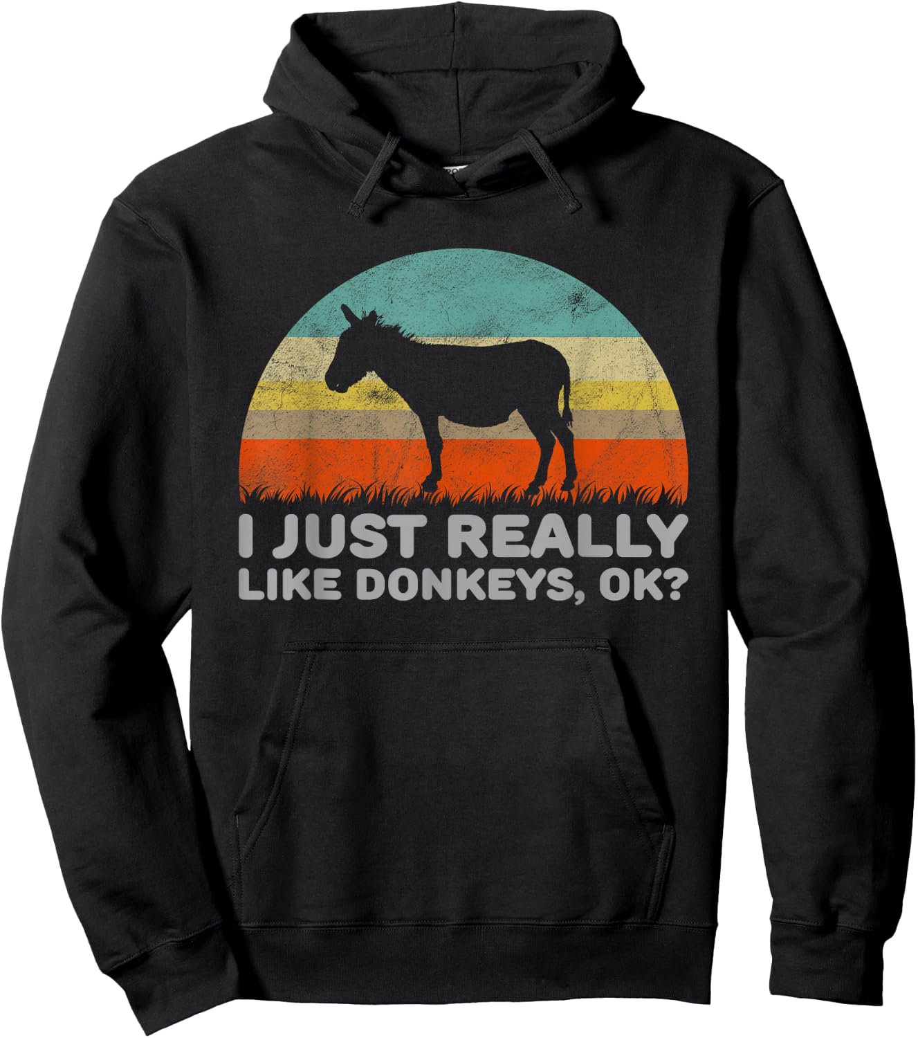 Funny I Just Really Like Donkeys OK Hoodie - Hoodie | Black
