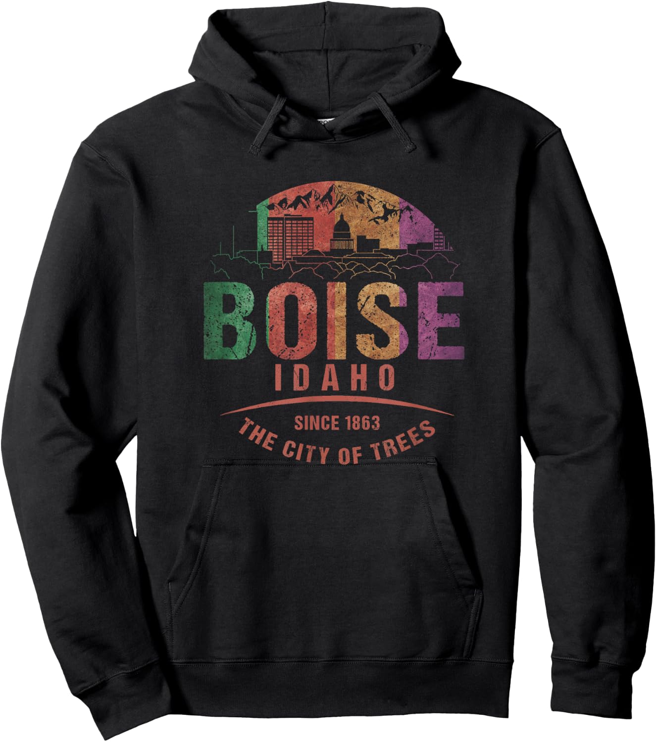 Boise Idaho City of Trees Grunge Art Novelty Souvenir Hoodie - Hoodie | Black