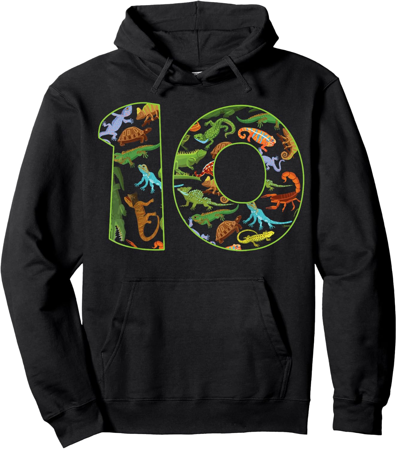 Cool 10 Reptile Theme 10th Birthday Party 10 Years Old Hoodie - Hoodie | Black