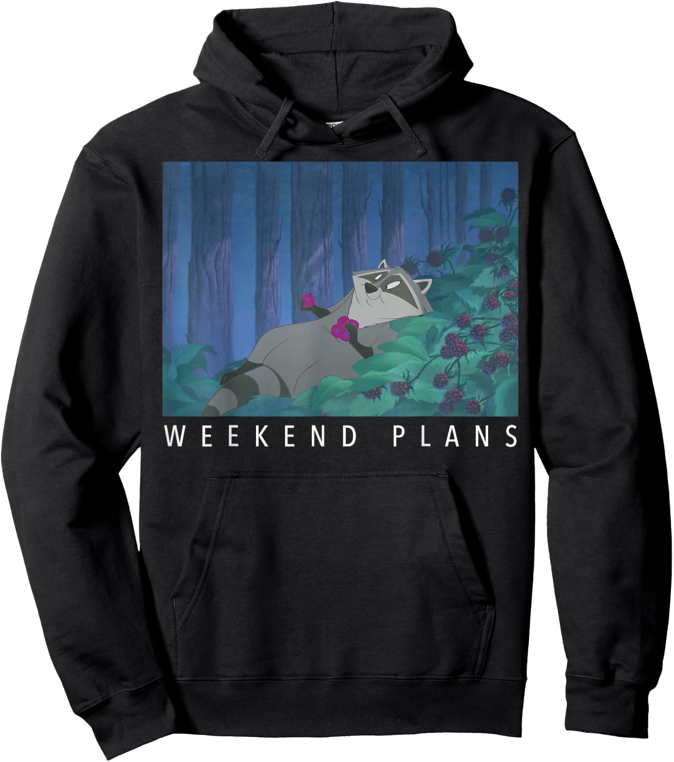Disney Pocahontas Meeko Weekend Plans Hoodie - Hoodie | Black