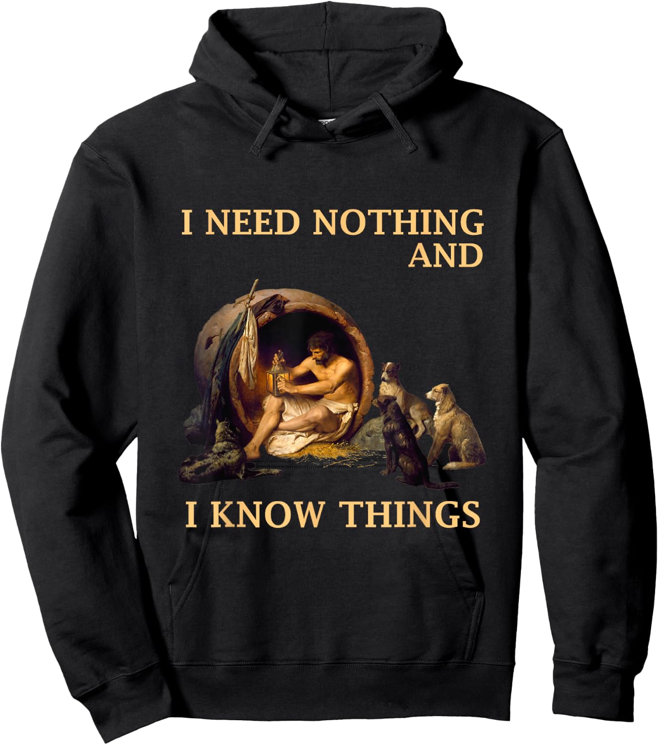 Diogenes I Need Nothing And I Know Things Philosopher Shirt Hoodie - Hoodie | Black
