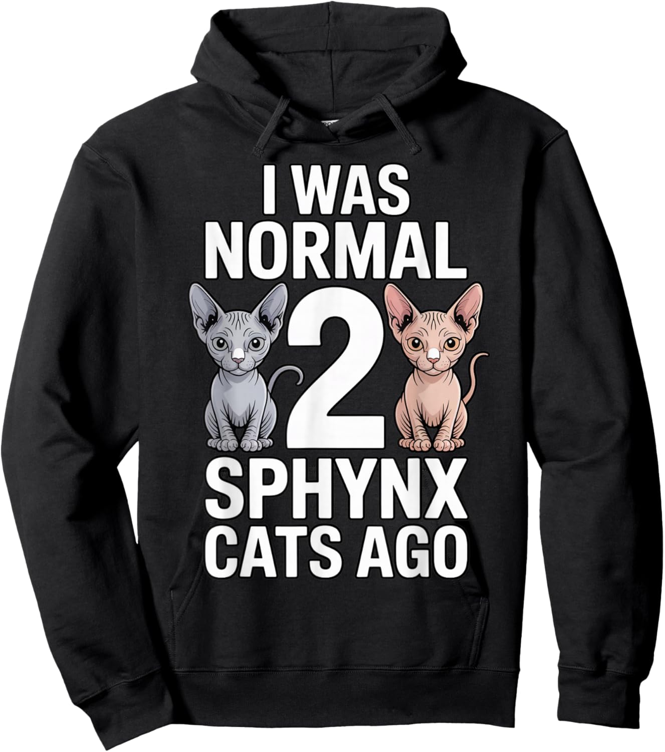 I was Normal 2 Sphynx Cat Dad Hairless Cat Pet Sphynx Cat Hoodie - Hoodie | Black