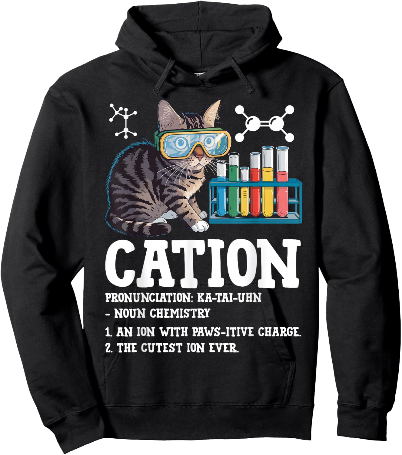 Cation Funny Chemistry Science Teacher Cat Men Women Kids Hoodie - Hoodie | Black