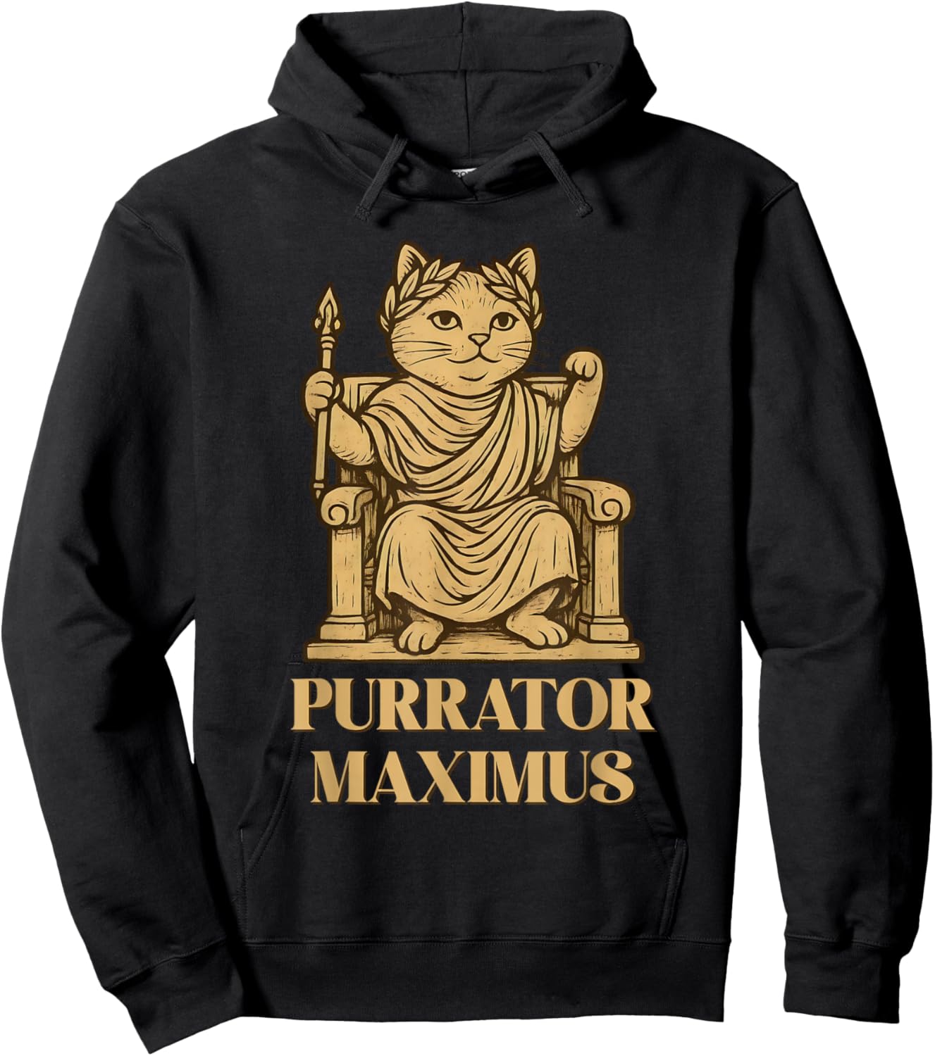 Funny Roman Emperor Cat History Teacher Ancient Cat Lover Hoodie - Hoodie | Black