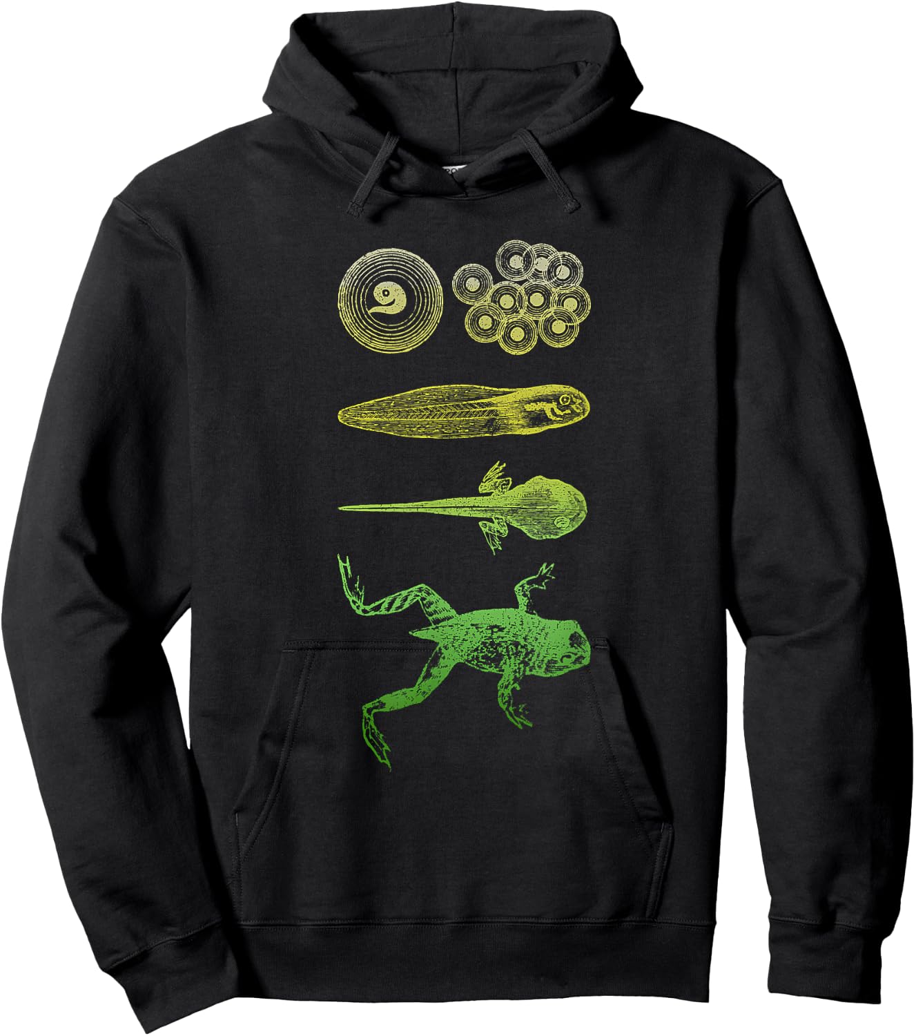 Frog Tadpole Metamorphosis Life Cycle Biology Hoodie - Hoodie | Black