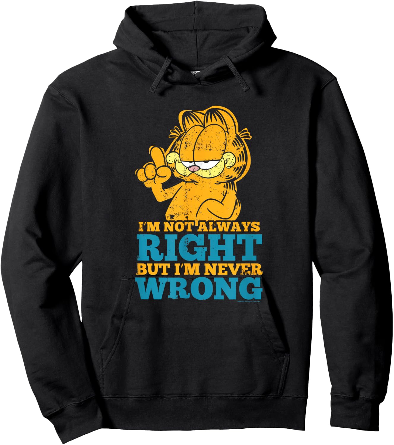 Garfield Never Wrong Hoodie - Hoodie | Black