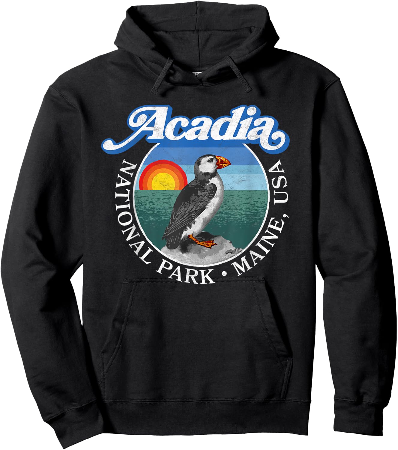 Retro Acadia National Park Vintage Maine Puffin Graphic Hoodie - Hoodie | Black