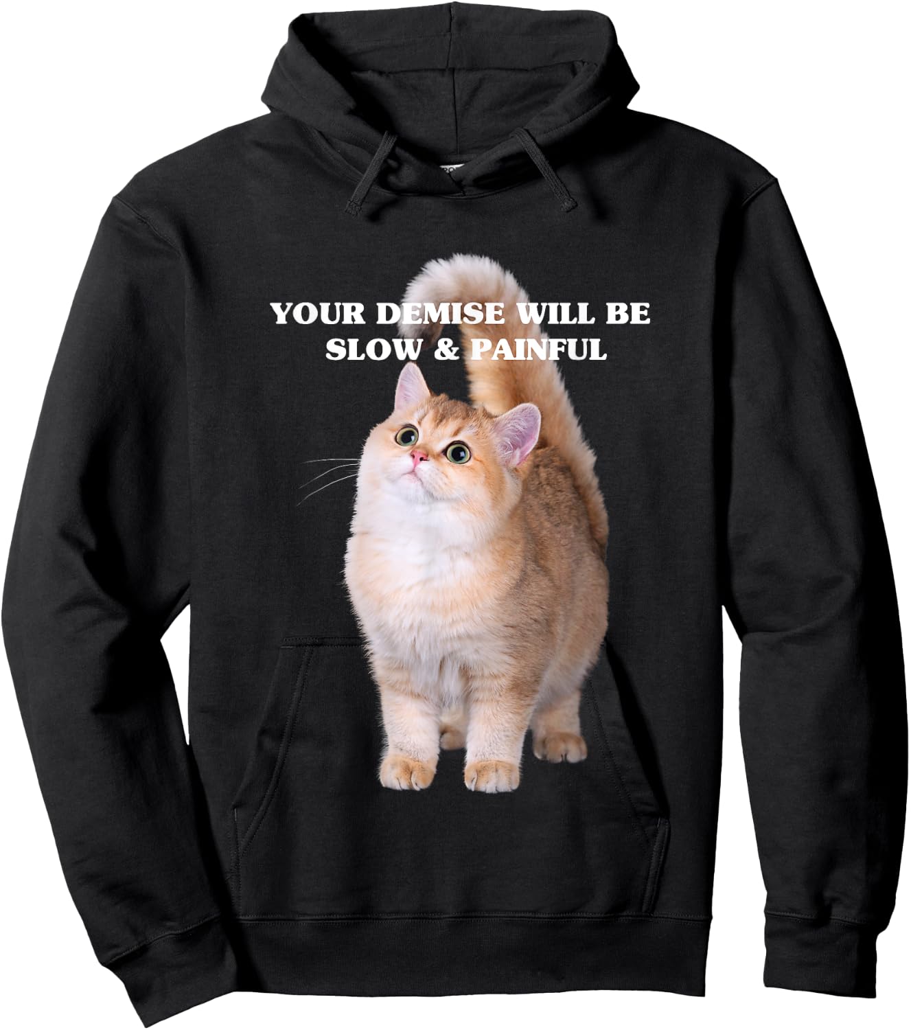 Cute Kitten Your Demise Will Be Slow & Painful Hoodie - Hoodie | Black